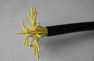 聚录乙烯 交联聚乙烯 屏蔽绝缘控制电缆